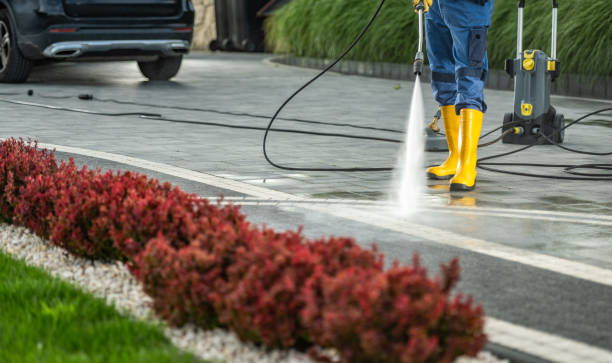 Best Sidewalk and Walkway Cleaning  in Middle River, MD